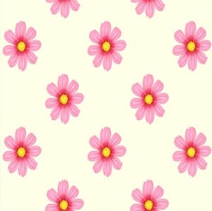 Meet your Posher, Kari